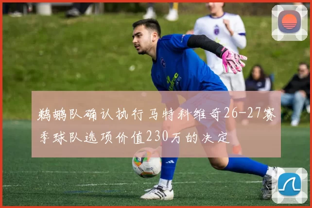 鹈鹕队确认执行马特科维奇26-27赛季球队选项价值230万的决定