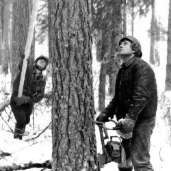 Фотоизложба «Българите в Коми вчера и днес»